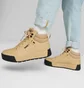 Кроссовки мужские Puma Tarrenz Sb Iii Puretex Beige 393930-02