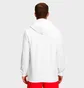 Худі чоловіче The North Face Half Dome Pullover Hoodie White Nf0A7Unl-100