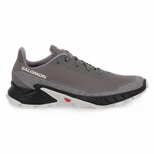 Кроссовки мужские Salomon Alphacross 5 Gtx Grey 473133
