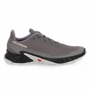 Кроссовки мужские Salomon Alphacross 5 Gtx Grey 473133