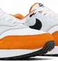 Кроссовки мужские Nike Air Max 1 Grey/Brown FN6952-101