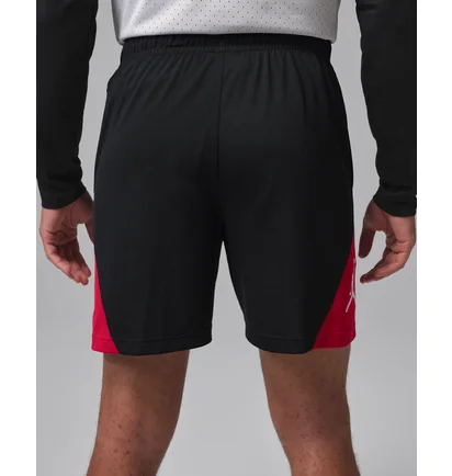 Шорты мужские Air Jordan Jordan Sport MenS Dri-Fit Shorts Black IQ5775-010