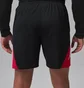 Шорты мужские Air Jordan Jordan Sport MenS Dri-Fit Shorts Black IQ5775-010