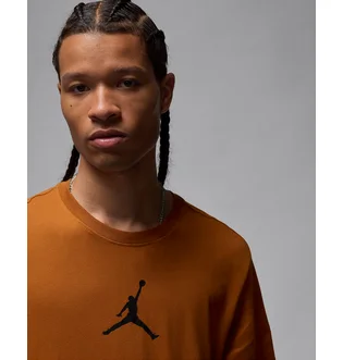 Футболка мужская Air Jordan Air Jumpss Crew Brown CW5190-228
