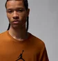 Футболка мужская Air Jordan Air Jumpss Crew Brown CW5190-228