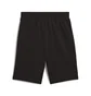 Шорти чоловічі Puma Ess 2 Color No. 1 Logo Shorts 10 Terry Black 684715-51