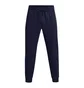 Штаны мужские Under Armour Rival Fleece Blue 1379774-410