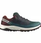Кросівки чоловічі Salomon Outrise Gtx Gore-Tex Green 471421