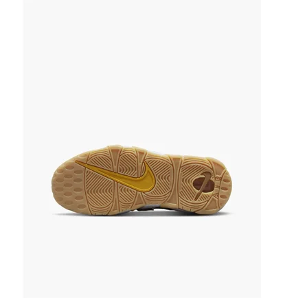Кросівки дитячі Nike Big Kids Shoes Brown Dq4713-700