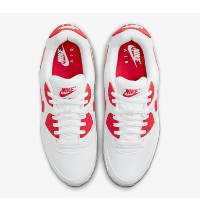 Кросівки чоловічі Nike Air Max 90 White DX8966-100