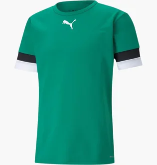 Футболка мужская Puma Teamrise Jersey Green 704932-05