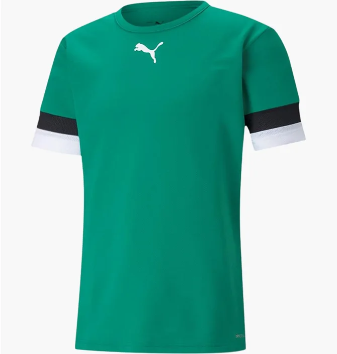 Футболка мужская Puma Teamrise Jersey Green 704932-05