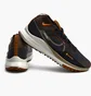 Кроссовки мужские Nike React Pegasus Trail 4 Gore-Tex Grey Fd5841-001