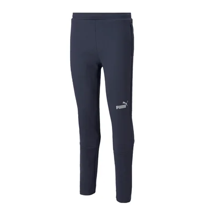 Штаны мужские Puma Teamfinal Casuals Blue 657386-06