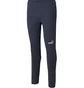 Штаны мужские Puma Teamfinal Casuals Blue 657386-06