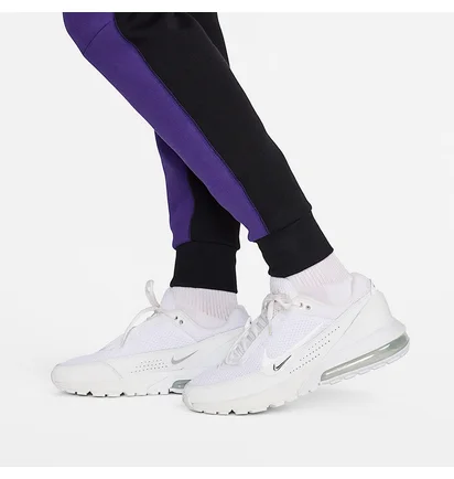Штаны мужские Nike Tech Fleece Joggers Violet HF4433-504