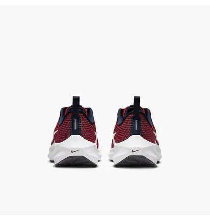 Кросівки дитячі Nike Air Zoom Pegasus 40 Gs Bordo DX2498-009