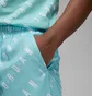 Шорты мужские Air Jordan Essentials Allover Print Poolside Turquoise DX9673-464