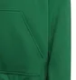 Худи детское Adidas Entrada Green Hi2143