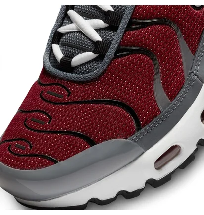 Кросівки дитячі Nike Air Max Plus Gs Bordo/Grey CD0609-602
