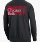 Лонгслив мужской Nike Dri-Fit Nba Chicago Bulls Standard Issue Black FD8649-010