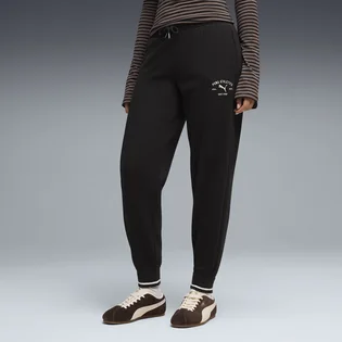 Штани жіночі Puma Class Comfort Black 691879-01