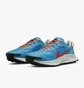 Кросівки чоловічі Nike Pegasus Trail 3 Light Blue Da8697-400