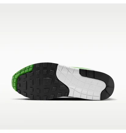 Кросівки чоловічі Nike Air Max 1 Patta 20Th Grey/Green HF1012-300
