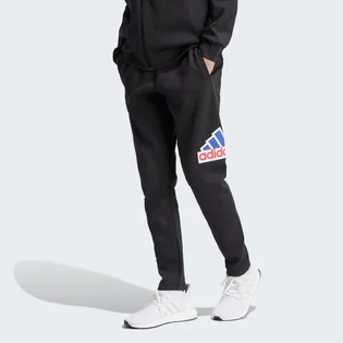 Штаны мужские Adidas Future Icons Badge Of Sport Pants Black IS3232