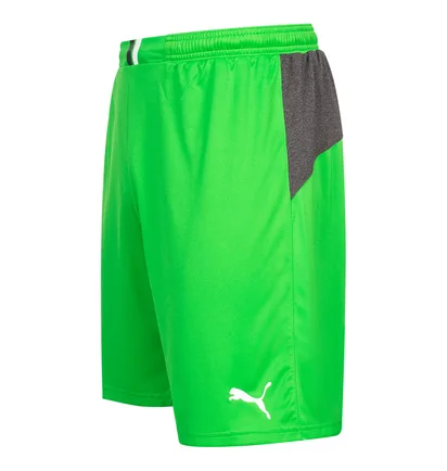 Шорты мужские Puma King Green 701701-43
