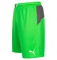 Шорты мужские Puma King Green 701701-43