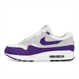 Кроссовки мужские Nike Air Max 1 Sc Grey/Violet DZ4549-101