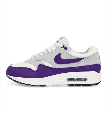 Кроссовки мужские Nike Air Max 1 Sc Grey/Violet DZ4549-101