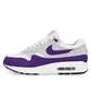 Кроссовки мужские Nike Air Max 1 Sc Grey/Violet DZ4549-101