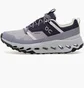 Кросівки жіночі On Cloudhorizwaterproof Grey 3WE10021427