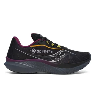 Кроссовки женские Saucony Kinvara 15 Gtx Black S10969-250