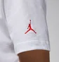 Футболка мужская Air Jordan M J Flt Ess Pool Ss Crew White FN6006-100