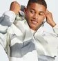 Толстовка чоловіча Adidas City Escape Full-Zip Hoodie Beige/Grey IN3707