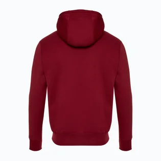 Худи мужское Nike Club Bb Po Chnl Ftra Bordo FN3104-677