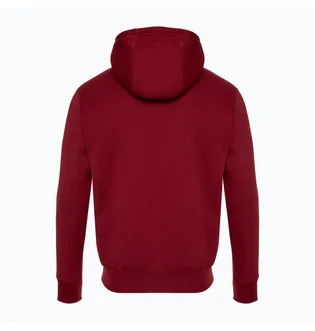 Худи мужское Nike Club Bb Po Chnl Ftra Bordo FN3104-677
