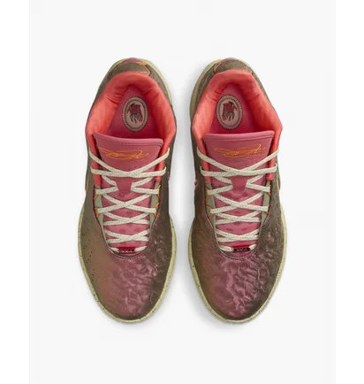 Кроссовки унисекс Nike Lebron Xxi Queen Conch Basketball Shoes Bordo FN0708-800