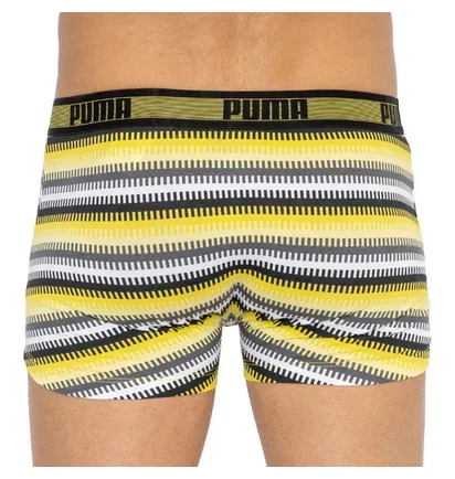Трусы мужские Puma Worldhood Stripe Trunk Multi (2 шт) 501004001-020