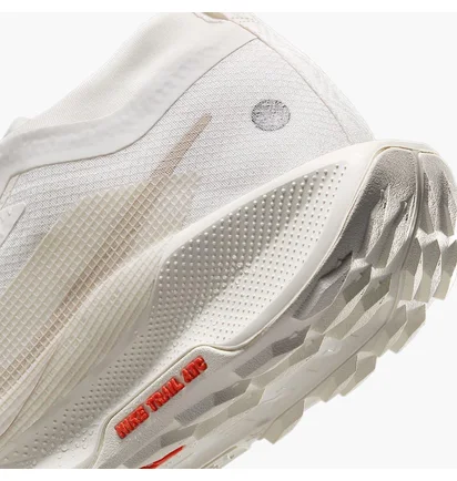 Кросівки жіночі Nike Pegasus Trail 5 Gtx White/Beige FQ0912-100
