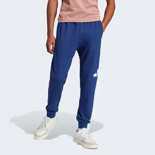 Штаны мужские Adidas Essentials Big Logo French Terry Blue JE8967