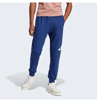 Штаны мужские Adidas Essentials Big Logo French Terry Blue JE8967