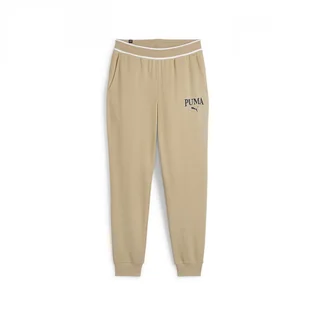 Штаны мужские Puma Squad Sweatpants Tr Cl Beige 678972-83