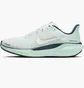 Кросівки жіночі Nike Air Zoom Pegasus 41 Turquoise FD2723-405