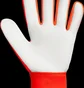 Рукавиці воротарські унісекс Reusch Attrakt Starter Solid Orange 5570514-2290