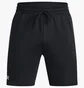 Шорты мужские Under Armour Shorts Ua Rival Fleece Shorts-Blk Black 1379779-001