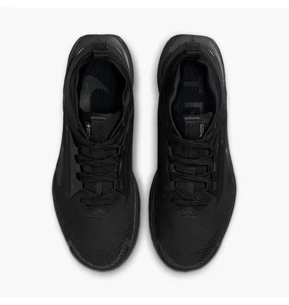 Кросівки унісекс Nike Pegasus Trail 5 Gore-Tex Black FQ0912-002